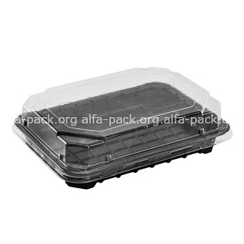 Харчовий одноразовий пластиковий контейнер для суші ПС-63 з кришкою (чорне дно + прозора кришка), 1100 мл, 180х138х45 мм (артикул: 010100141) купити в розділі «Упаковка для суші».